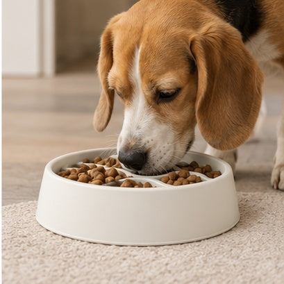 AntiChoke 2.0 Dog Bowl