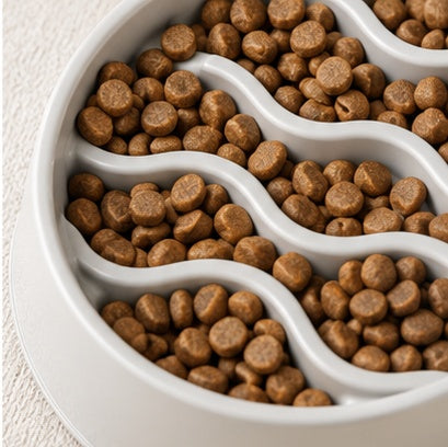 AntiChoke 2.0 Dog Bowl