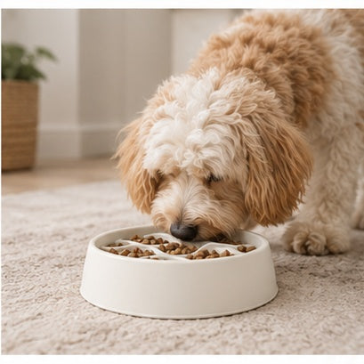 AntiChoke 2.0 Dog Bowl