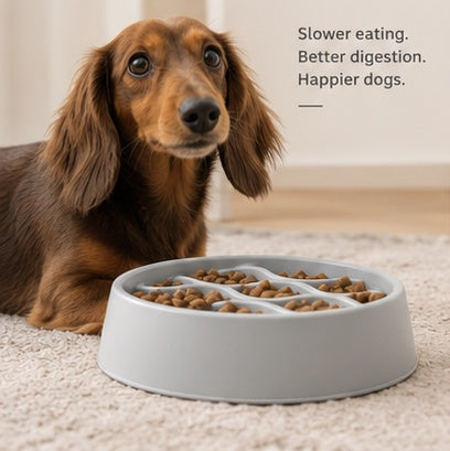 AntiChoke 2.0 Dog Bowl