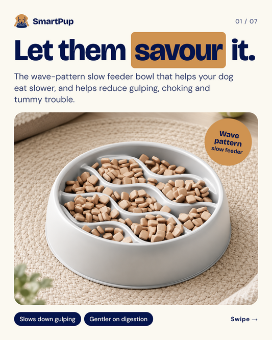 Slow Feeder Bowl 2.0
